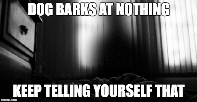 crap | DOG BARKS AT NOTHING; KEEP TELLING YOURSELF THAT | image tagged in scary,night,ghost,spirit | made w/ Imgflip meme maker