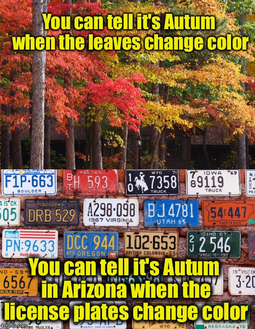 Autum Colors | You can tell it's Autum when the leaves change color; You can tell it's Autum in Arizona when the license plates change color | image tagged in autumn,memes | made w/ Imgflip meme maker