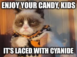 Grumpy Cat Halloween Meme | ENJOY YOUR CANDY, KIDS; IT'S LACED WITH CYANIDE | image tagged in memes,grumpy cat halloween,grumpy cat | made w/ Imgflip meme maker