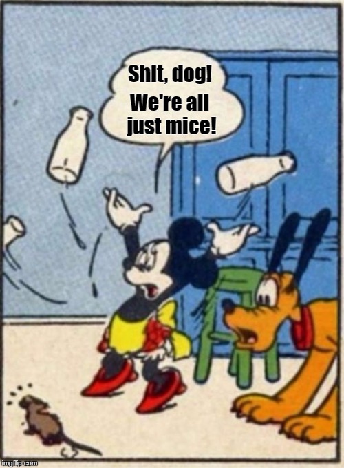 Minnie gets her mind blown. | Shit, dog! We're all just mice! | image tagged in memes,disney,philosophy,satire,minnie mouse | made w/ Imgflip meme maker