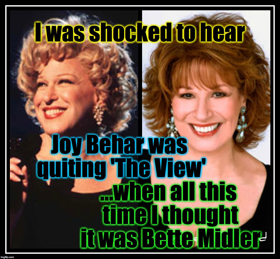 did anyone else think? | I was shocked to hear; Joy Behar was quiting 'The View'; ...when all this time I thought it was Bette Midler | image tagged in doppelgnger | made w/ Imgflip meme maker