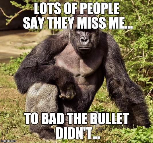 Rest in piece. | LOTS OF PEOPLE SAY THEY MISS ME... TO BAD THE BULLET DIDN'T... | image tagged in harambe,memes,funny | made w/ Imgflip meme maker