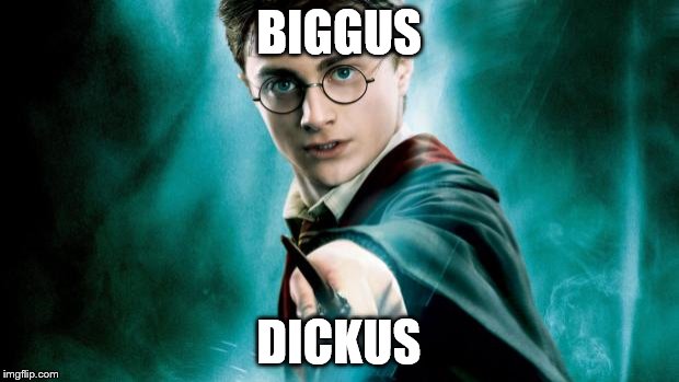 harry potter | BIGGUS; DICKUS | image tagged in harry potter | made w/ Imgflip meme maker
