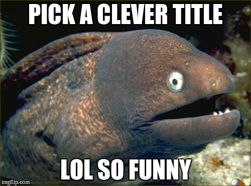 lol so funny | PICK A CLEVER TITLE; LOL SO FUNNY | image tagged in memes,bad joke eel,funny | made w/ Imgflip meme maker