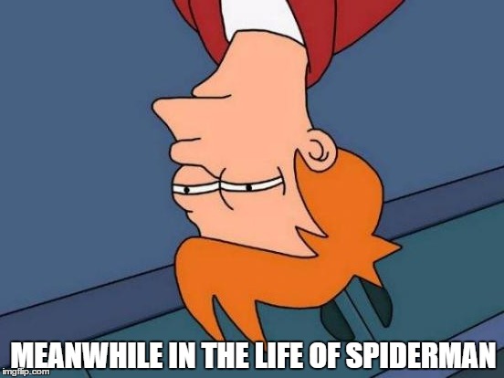 Futurama Fry | MEANWHILE IN THE LIFE OF SPIDERMAN | image tagged in memes,futurama fry,spiderman | made w/ Imgflip meme maker