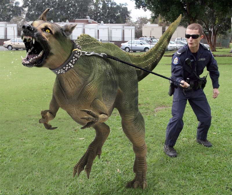 High Quality Raptor Police Dog  Blank Meme Template