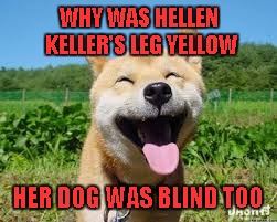 WHY WAS HELLEN KELLER'S LEG YELLOW HER DOG WAS BLIND TOO | made w/ Imgflip meme maker