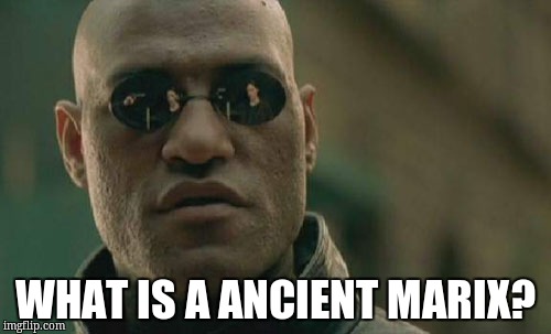Matrix Morpheus Meme | WHAT IS A ANCIENT MARIX? | image tagged in memes,matrix morpheus | made w/ Imgflip meme maker
