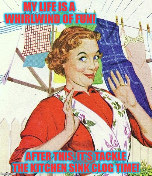 MORE FROM THE : SEMI-DERANGED 1950s HOUSEWIFE | MY LIFE IS A WHIRLWIND OF FUN! AFTER THIS, IT'S TACKLE THE KITCHEN SINK CLOG TIME! | image tagged in meme,funny meme,funny,women's work,housework,crazy | made w/ Imgflip meme maker