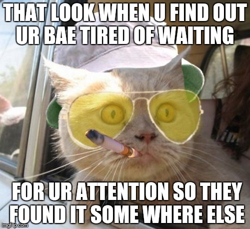 Fear And Loathing Cat Meme | THAT LOOK WHEN U FIND OUT UR BAE TIRED OF WAITING; FOR UR ATTENTION SO THEY FOUND IT SOME WHERE ELSE | image tagged in memes,fear and loathing cat | made w/ Imgflip meme maker