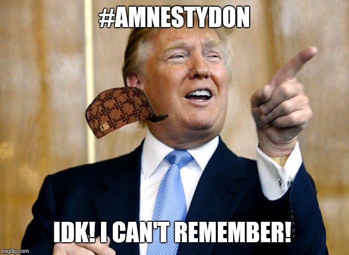 Donald Trump Pointing | #AMNESTYDON; IDK! I CAN'T REMEMBER! | image tagged in donald trump pointing,scumbag | made w/ Imgflip meme maker