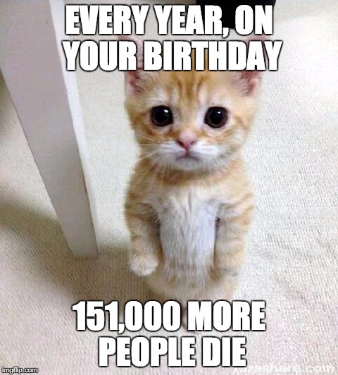Cute kittie, harsh truth | EVERY YEAR, ON YOUR BIRTHDAY; 151,000 MORE PEOPLE DIE | image tagged in memes,cute cat,harsh truth animals,bad luck brian | made w/ Imgflip meme maker