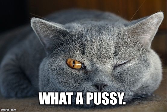 WHAT A PUSSY. | made w/ Imgflip meme maker
