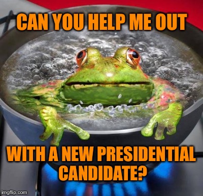 TOO LATE | CAN YOU HELP ME OUT; WITH A NEW PRESIDENTIAL CANDIDATE? | image tagged in stupid frog | made w/ Imgflip meme maker