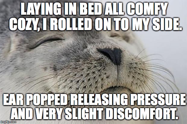 Satisfied Seal Meme | LAYING IN BED ALL COMFY COZY, I ROLLED ON TO MY SIDE. EAR POPPED RELEASING PRESSURE AND VERY SLIGHT DISCOMFORT. | image tagged in memes,satisfied seal | made w/ Imgflip meme maker