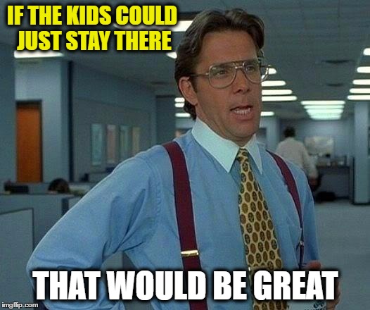 That Would Be Great Meme | IF THE KIDS COULD JUST STAY THERE THAT WOULD BE GREAT | image tagged in memes,that would be great | made w/ Imgflip meme maker