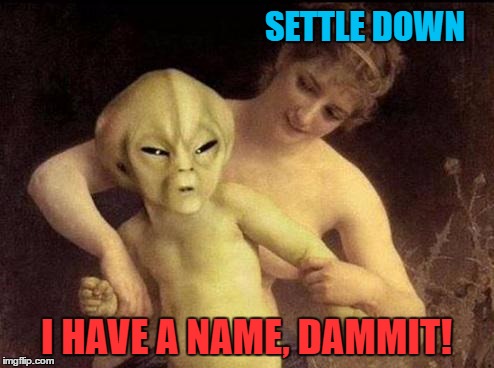 SETTLE DOWN I HAVE A NAME, DAMMIT! | made w/ Imgflip meme maker