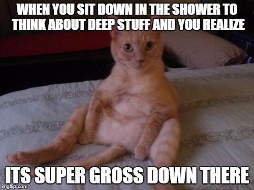Chester The Cat | WHEN YOU SIT DOWN IN THE SHOWER TO THINK ABOUT DEEP STUFF AND YOU REALIZE; ITS SUPER GROSS DOWN THERE | image tagged in memes,chester the cat | made w/ Imgflip meme maker