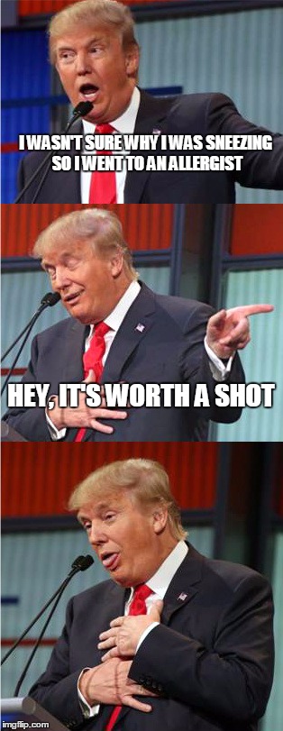 Bad Pun Trump | I WASN'T SURE WHY I WAS SNEEZING SO I WENT TO AN ALLERGIST; HEY, IT'S WORTH A SHOT | image tagged in bad pun trump | made w/ Imgflip meme maker