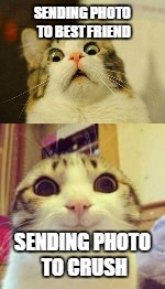 What if my best friend is my crush xD | SENDING PHOTO TO BEST FRIEND; SENDING PHOTO TO CRUSH | image tagged in funny,funny cats,crush | made w/ Imgflip meme maker