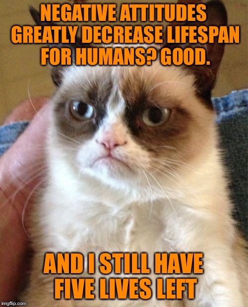 Grumpy Cat | NEGATIVE ATTITUDES GREATLY DECREASE LIFESPAN FOR HUMANS? GOOD. AND I STILL HAVE FIVE LIVES LEFT | image tagged in memes,grumpy cat | made w/ Imgflip meme maker