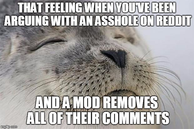 Satisfied Seal Meme | THAT FEELING WHEN YOU'VE BEEN ARGUING WITH AN ASSHOLE ON REDDIT; AND A MOD REMOVES ALL OF THEIR COMMENTS | image tagged in memes,satisfied seal,AdviceAnimals | made w/ Imgflip meme maker