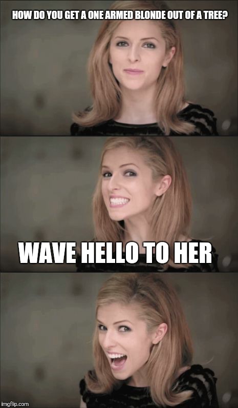 Hi there | HOW DO YOU GET A ONE ARMED BLONDE OUT OF A TREE? WAVE HELLO TO HER | image tagged in memes,bad pun anna kendrick | made w/ Imgflip meme maker