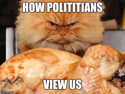 Angry cat | HOW POLITITIANS; VIEW US | image tagged in angry cat | made w/ Imgflip meme maker