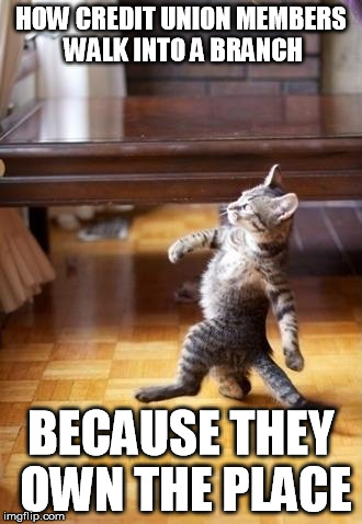 Cool Cat Stroll | HOW CREDIT UNION MEMBERS WALK INTO A BRANCH; BECAUSE THEY OWN THE PLACE | image tagged in memes,cool cat stroll | made w/ Imgflip meme maker