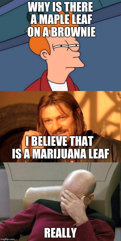 WHY IS THERE A MAPLE LEAF ON A BROWNIE REALLY I BELIEVE THAT IS A MARIJUANA LEAF | made w/ Imgflip meme maker