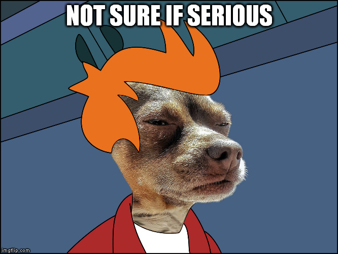 NOT SURE IF SERIOUS | made w/ Imgflip meme maker