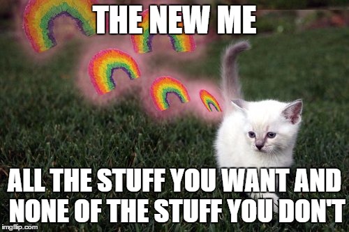 THE NEW ME; ALL THE STUFF YOU WANT AND NONE OF THE STUFF YOU DON'T | image tagged in rainbowkitten | made w/ Imgflip meme maker