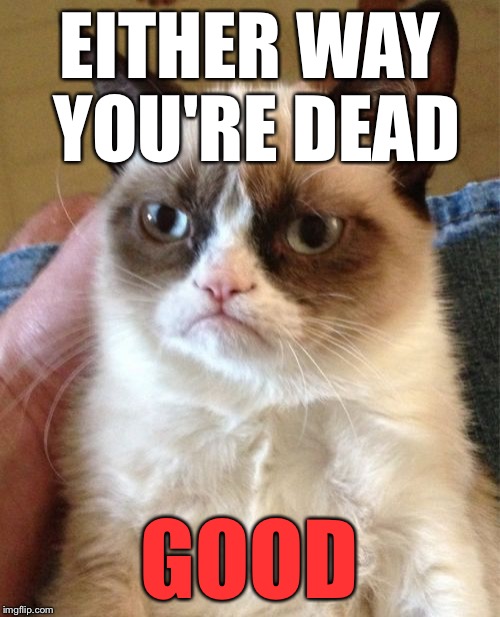 Grumpy Cat Meme | EITHER WAY YOU'RE DEAD GOOD | image tagged in memes,grumpy cat | made w/ Imgflip meme maker