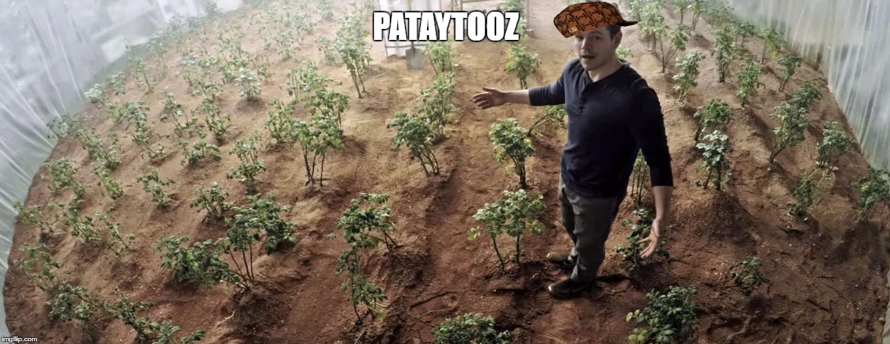 PATATOUS, FER GADS SEYK | PATAYTOOZ | image tagged in scumbag,patatous fer gads seyk | made w/ Imgflip meme maker