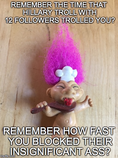 REMEMBER THE TIME THAT HILLARY TROLL WITH 12 FOLLOWERS TROLLED YOU? REMEMBER HOW FAST YOU BLOCKED THEIR INSIGNIFICANT ASS? | image tagged in wtf hillary | made w/ Imgflip meme maker