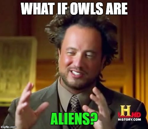 Ancient Aliens Meme | WHAT IF OWLS ARE ALIENS? | image tagged in memes,ancient aliens | made w/ Imgflip meme maker