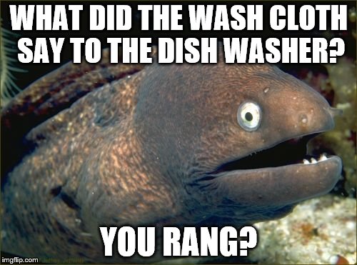 Bad Joke Eel | WHAT DID THE WASH CLOTH SAY TO THE DISH WASHER? YOU RANG? | image tagged in memes,bad joke eel | made w/ Imgflip meme maker