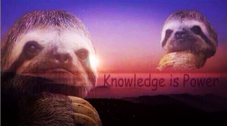 High Quality Sloth Knowledge is power Blank Meme Template