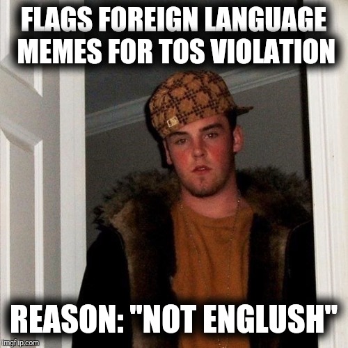 It's right there in the terms | FLAGS FOREIGN LANGUAGE MEMES FOR TOS VIOLATION; REASON: "NOT ENGLUSH" | image tagged in scumbag steve,tos violations | made w/ Imgflip meme maker