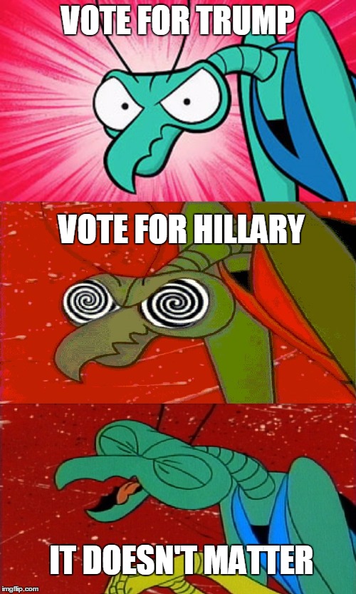Bad Pun Zorak | VOTE FOR TRUMP; VOTE FOR HILLARY; IT DOESN'T MATTER | image tagged in bad pun zorak | made w/ Imgflip meme maker