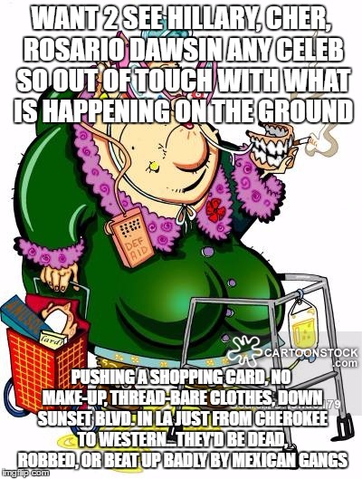 old lady | WANT 2 SEE HILLARY, CHER, ROSARIO DAWSIN ANY CELEB SO OUT OF TOUCH WITH WHAT IS HAPPENING ON THE GROUND; PUSHING A SHOPPING CARD, NO MAKE-UP, THREAD-BARE CLOTHES, DOWN SUNSET BLVD. IN LA JUST FROM CHEROKEE TO WESTERN...THEY'D BE DEAD, ROBBED, OR BEAT UP BADLY BY MEXICAN GANGS | image tagged in old lady | made w/ Imgflip meme maker