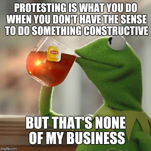 But That's None Of My Business Meme | PROTESTING IS WHAT YOU DO WHEN YOU DON'T HAVE THE SENSE TO DO SOMETHING CONSTRUCTIVE; BUT THAT'S NONE OF MY BUSINESS | image tagged in memes,but thats none of my business,kermit the frog | made w/ Imgflip meme maker