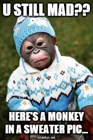 R U Mad? | U STILL MAD?? HERE'S A MONKEY IN A SWEATER PIC... | image tagged in mad,monkey,cute | made w/ Imgflip meme maker