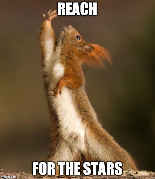REACH FOR THE STARS | made w/ Imgflip meme maker