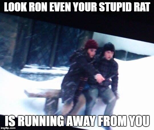 Poor Ron | LOOK RON EVEN YOUR STUPID RAT; IS RUNNING AWAY FROM YOU | image tagged in memes,harry potter,ron weasley | made w/ Imgflip meme maker