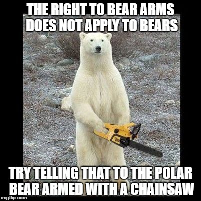 Chainsaw Bear | THE RIGHT TO BEAR ARMS DOES NOT APPLY TO BEARS; TRY TELLING THAT TO THE POLAR BEAR ARMED WITH A CHAINSAW | image tagged in memes,chainsaw bear | made w/ Imgflip meme maker