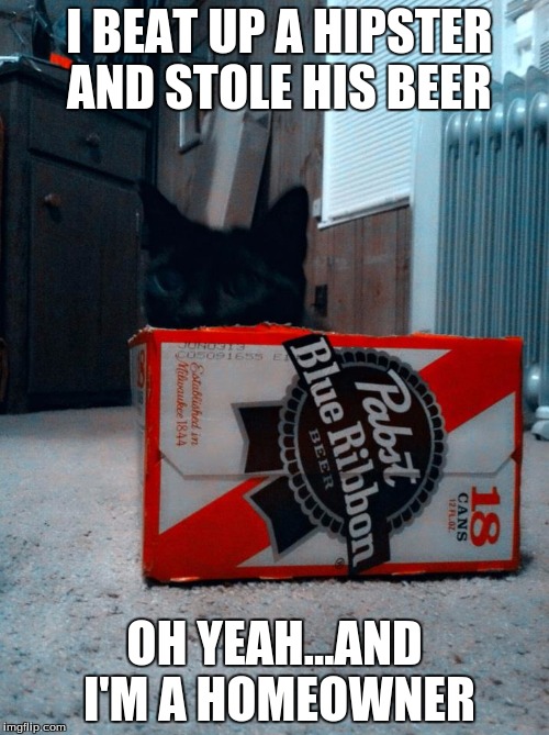 PBR KITTY | I BEAT UP A HIPSTER AND STOLE HIS BEER; OH YEAH...AND I'M A HOMEOWNER | image tagged in pbr,funny cats,cats,home,drunk cat | made w/ Imgflip meme maker