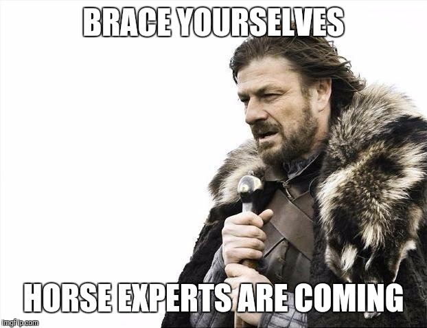 Brace Yourselves X is Coming | BRACE YOURSELVES; HORSE EXPERTS ARE COMING | image tagged in memes,brace yourselves x is coming | made w/ Imgflip meme maker