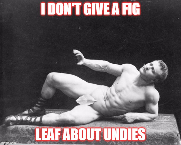 I DON'T GIVE A FIG LEAF ABOUT UNDIES | made w/ Imgflip meme maker