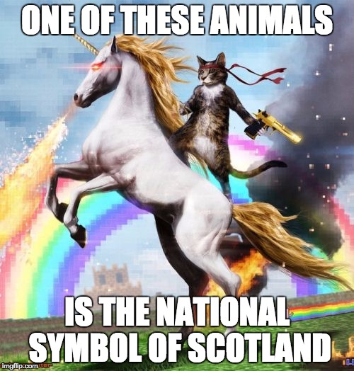 Welcome To The Internets | ONE OF THESE ANIMALS; IS THE NATIONAL SYMBOL OF SCOTLAND | image tagged in memes,welcome to the internets | made w/ Imgflip meme maker